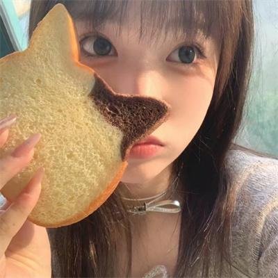 熊熊乐园第二部